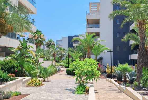 Resale - Apartment / flat - Orihuela Costa - Los Dolses