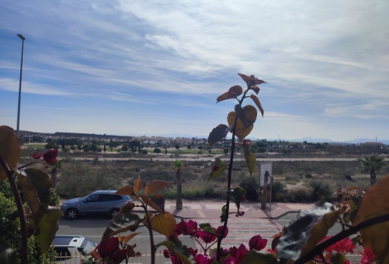 Herverkoop - Appartement / flat - Altaona Golf - Inland
