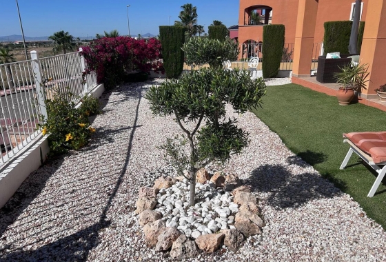 Herverkoop - Appartement / flat - Altaona Golf - Inland
