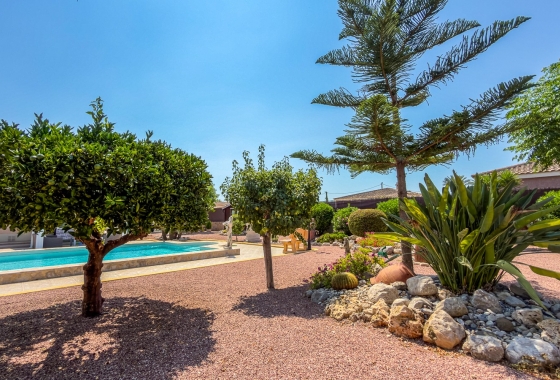 Resale - Villa - Catral - Costa Blanca