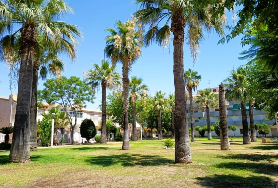Wiederverkauf - Bungalow - Orihuela Costa - Costa Blanca