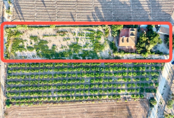 Herverkoop - Finca - Catral - Costa Blanca