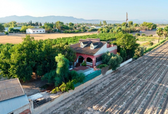 Herverkoop - Finca - Catral - Costa Blanca