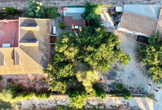 Herverkoop - Finca - Catral - Costa Blanca