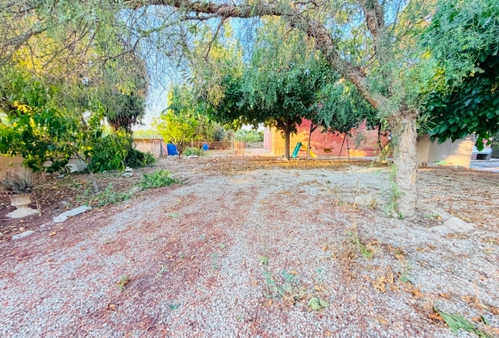 Herverkoop - Finca - Catral - Costa Blanca