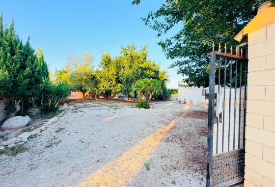 Herverkoop - Finca - Catral - Costa Blanca