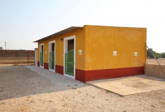 Wiederverkauf - Finca - Daya Nueva - Comunidad Valenciana