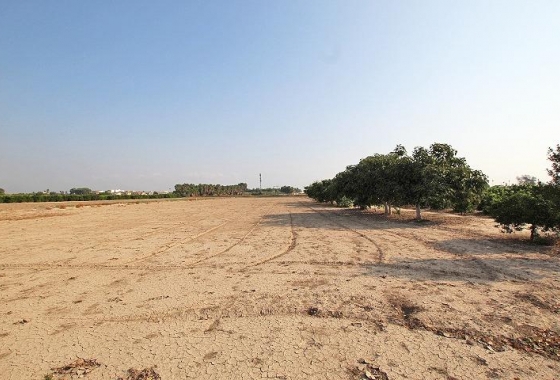Wiederverkauf - Finca - Daya Nueva - Comunidad Valenciana