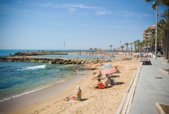 Återförsäljning - Lägenhet / lägenhet - Torrevieja - Playa del Cura