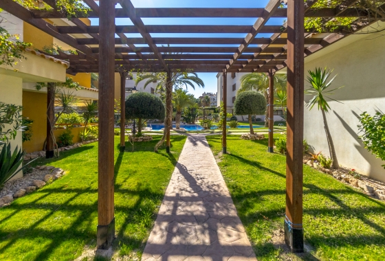 Reventa - Apartamento / piso - Torrevieja - Costa Blanca