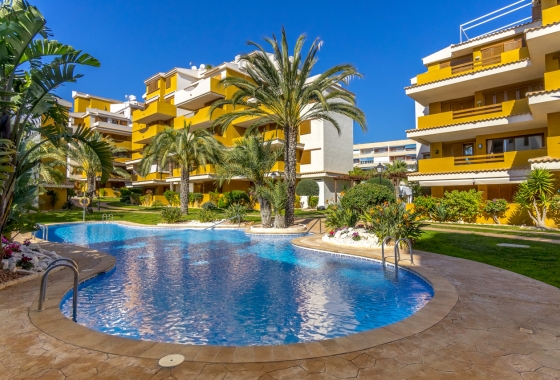 Reventa - Apartamento / piso - Torrevieja - Costa Blanca