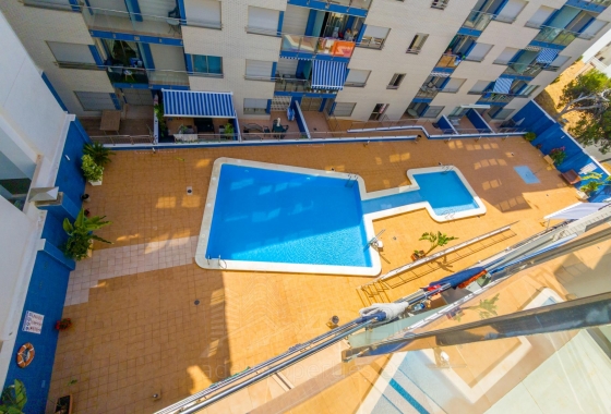 Reventa - Apartamento / piso - Torrevieja - Playa de los Locos