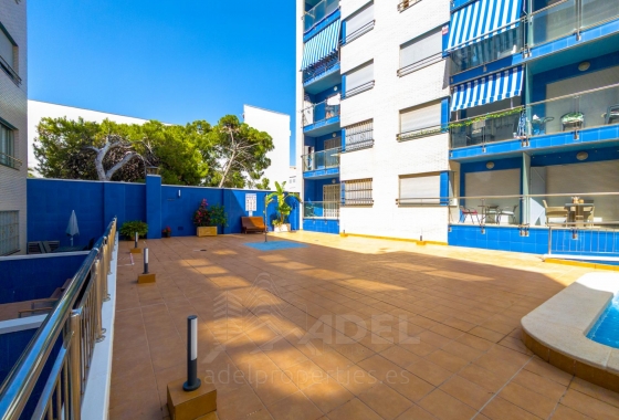 Reventa - Apartamento / piso - Torrevieja - Playa de los Locos