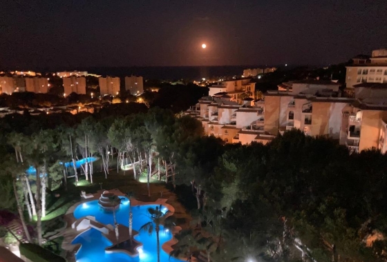Herverkoop - Appartement / flat - Orihuela Costa - Altos De Campoamor