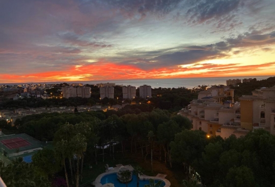 Herverkoop - Appartement / flat - Orihuela Costa - Altos De Campoamor