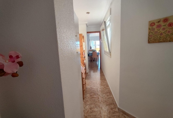 Herverkoop - Penthouse - Torrevieja - Paseo Maritimo