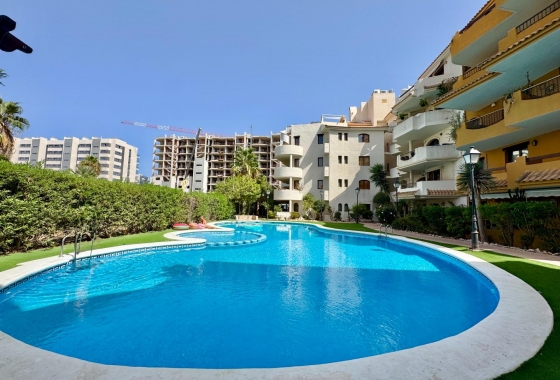 Herverkoop - Appartement / flat - Torrevieja - Punta Prima