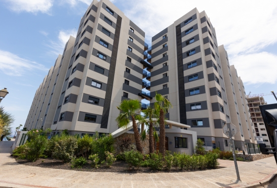 Resale - Apartment / flat - Torrevieja - Costa Blanca