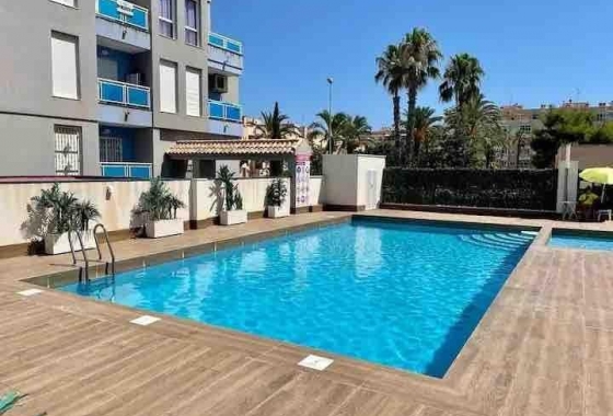 Resale - Apartment / flat - Torrevieja - Estacion De Autobuses