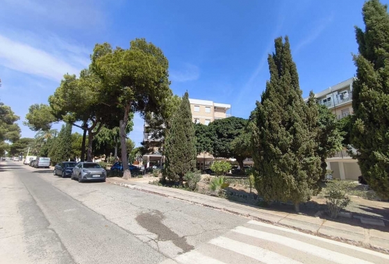 Herverkoop - Appartement / flat - Torrevieja - Costa Blanca