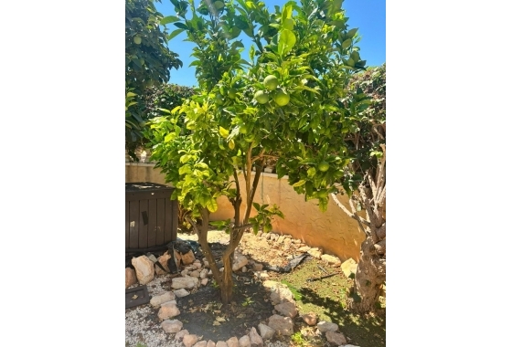 Resale - Villa - Orihuela Costa - Lomas De Cabo Roig