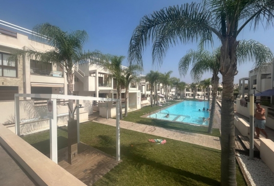 Resale - Apartment / flat - Torrevieja - AMAY Urbanisation