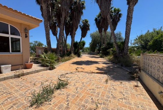 Resale - Finca - Dolores - Comunidad Valenciana