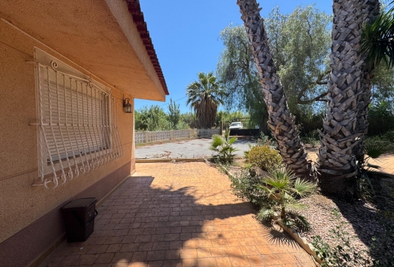 Resale - Finca - Dolores - Comunidad Valenciana