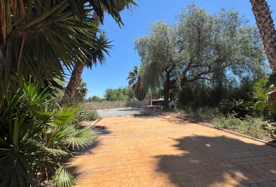 Resale - Finca - Dolores - Comunidad Valenciana