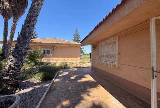 Resale - Finca - Dolores - Comunidad Valenciana