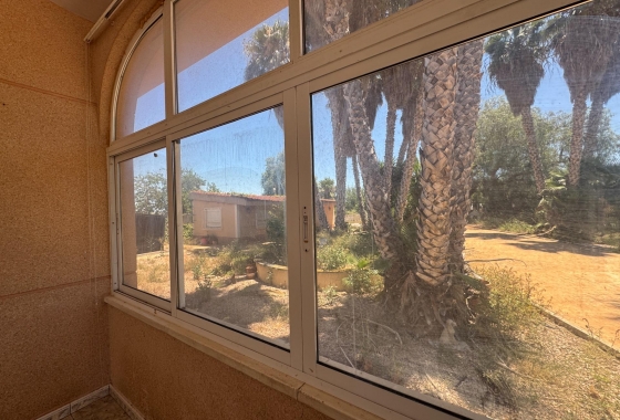 Resale - Finca - Dolores - Comunidad Valenciana