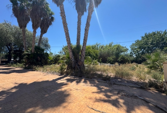 Resale - Finca - Dolores - Comunidad Valenciana