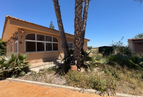 Resale - Finca - Dolores - Comunidad Valenciana