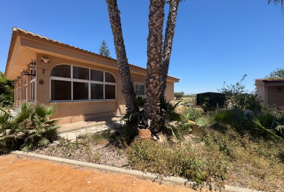 Resale - Finca - Dolores - Comunidad Valenciana