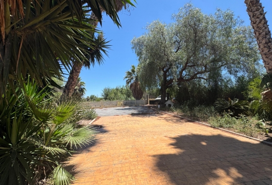 Resale - Finca - Dolores - Comunidad Valenciana