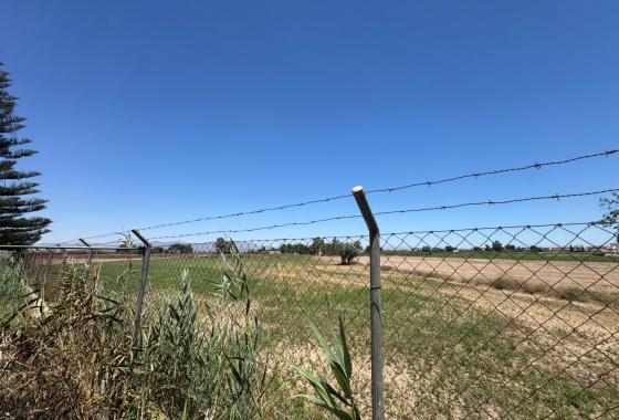 Resale - Finca - Dolores - Comunidad Valenciana