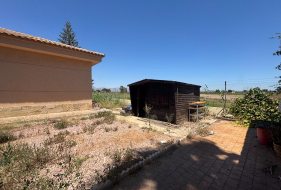 Resale - Finca - Dolores - Comunidad Valenciana
