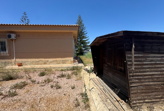 Resale - Finca - Dolores - Comunidad Valenciana