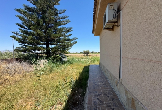 Resale - Finca - Dolores - Comunidad Valenciana