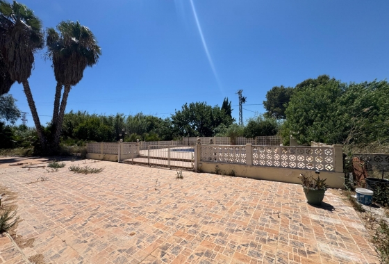 Resale - Finca - Dolores - Comunidad Valenciana