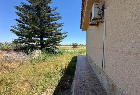 Resale - Finca - Dolores - Comunidad Valenciana