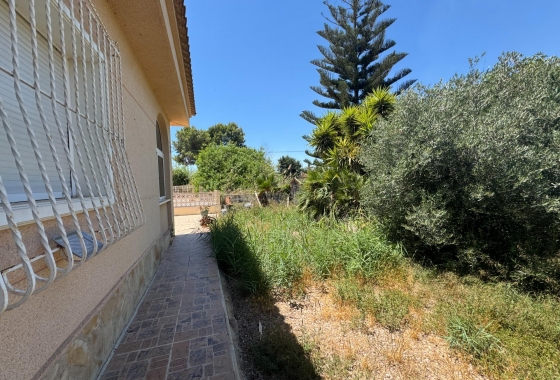 Resale - Finca - Dolores - Comunidad Valenciana