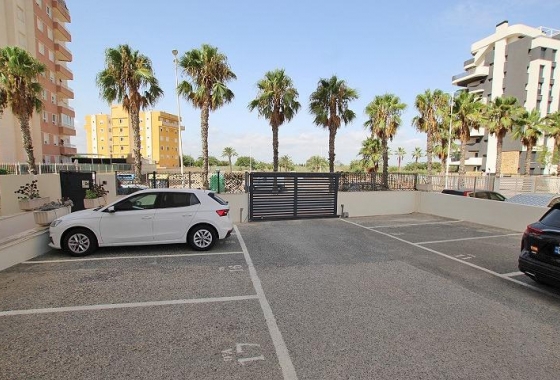 Resale - Apartment / flat - Guardamar del Segura - Avenida del Puerto