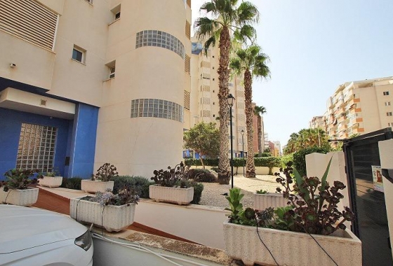 Resale - Apartment / flat - Guardamar del Segura - Avenida del Puerto