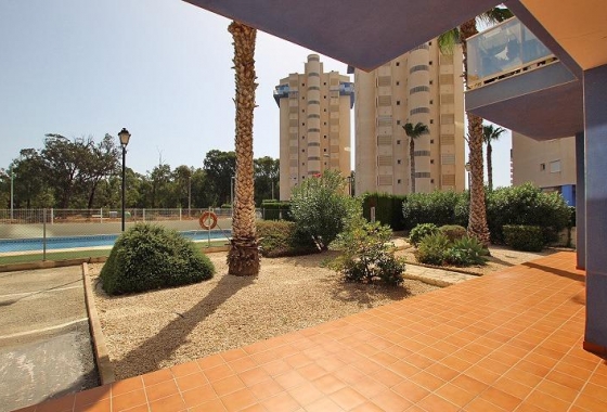 Resale - Apartment / flat - Guardamar del Segura - Avenida del Puerto