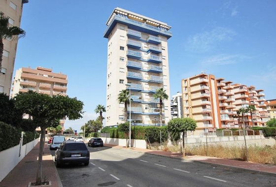 Resale - Apartment / flat - Guardamar del Segura - Avenida del Puerto