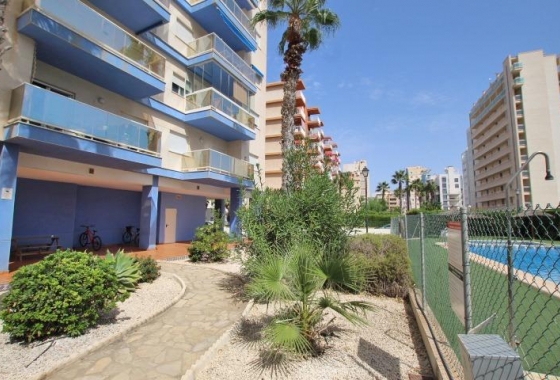 Resale - Apartment / flat - Guardamar del Segura - Avenida del Puerto