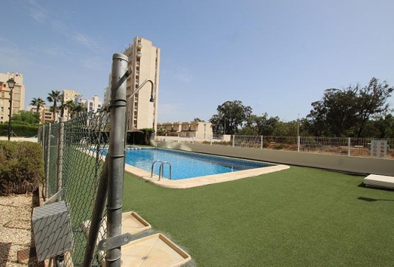 Resale - Apartment / flat - Guardamar del Segura - Avenida del Puerto