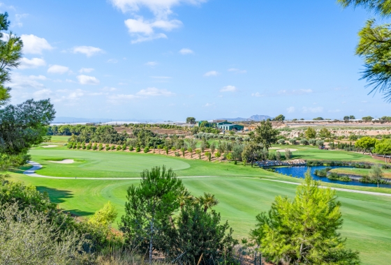 Revente - Appartement - Pilar de la Horadada - Lo Romero Golf