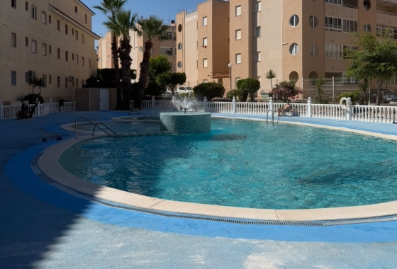 Återförsäljning - Radhus - Torrevieja - Costa Blanca